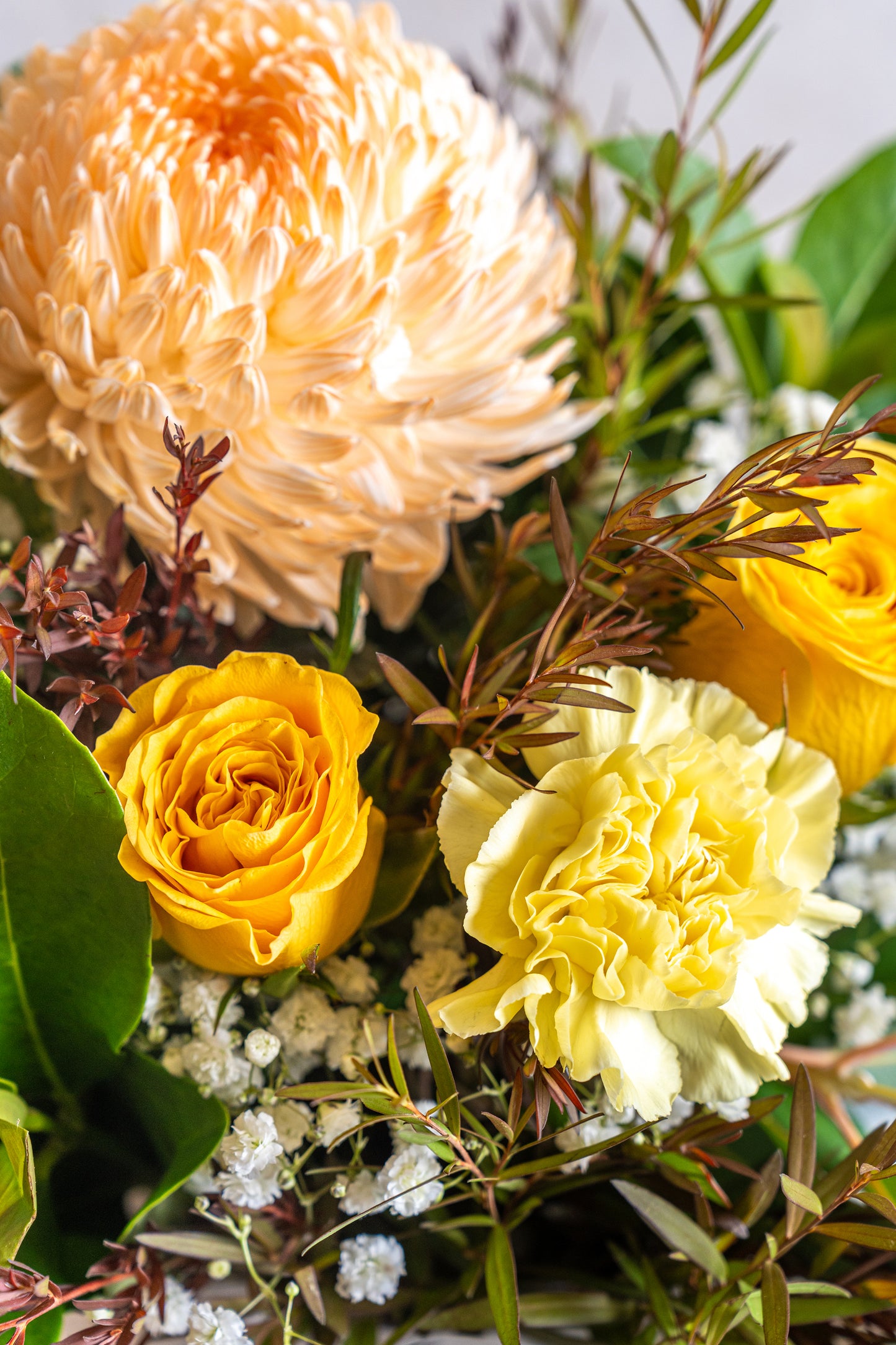Florist Choice Seasonal