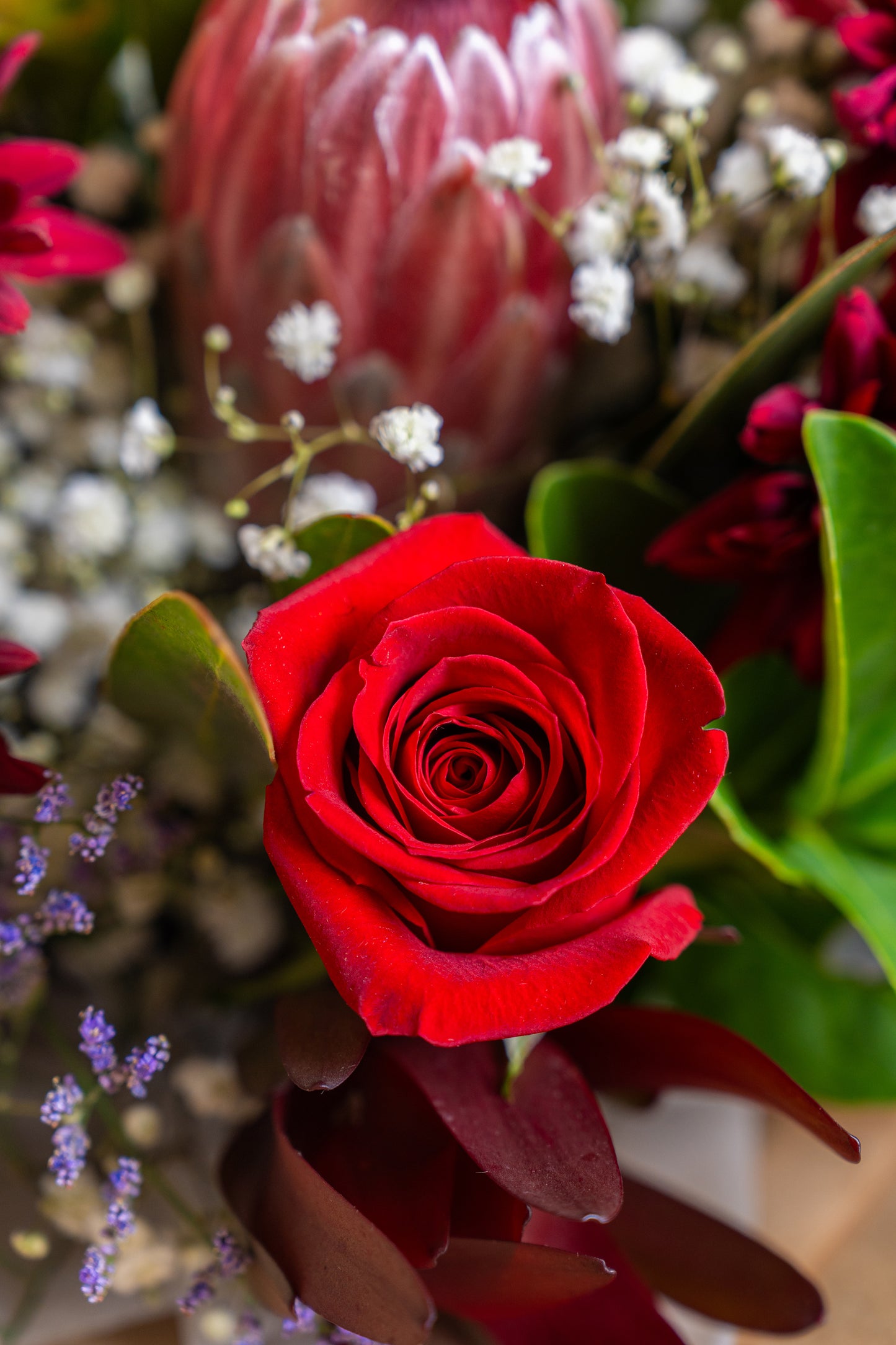 Florist Choice Seasonal Bouquet