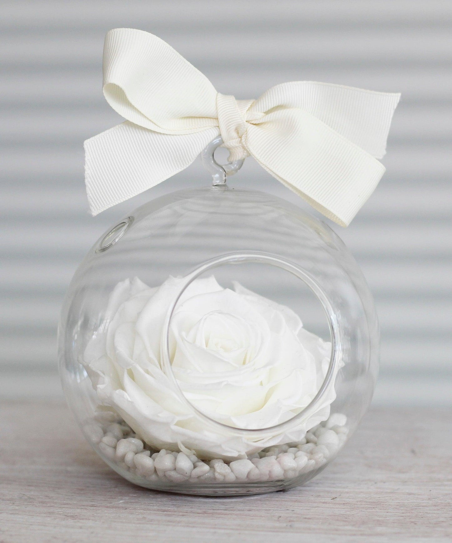 Preserved-Roses-Large-White