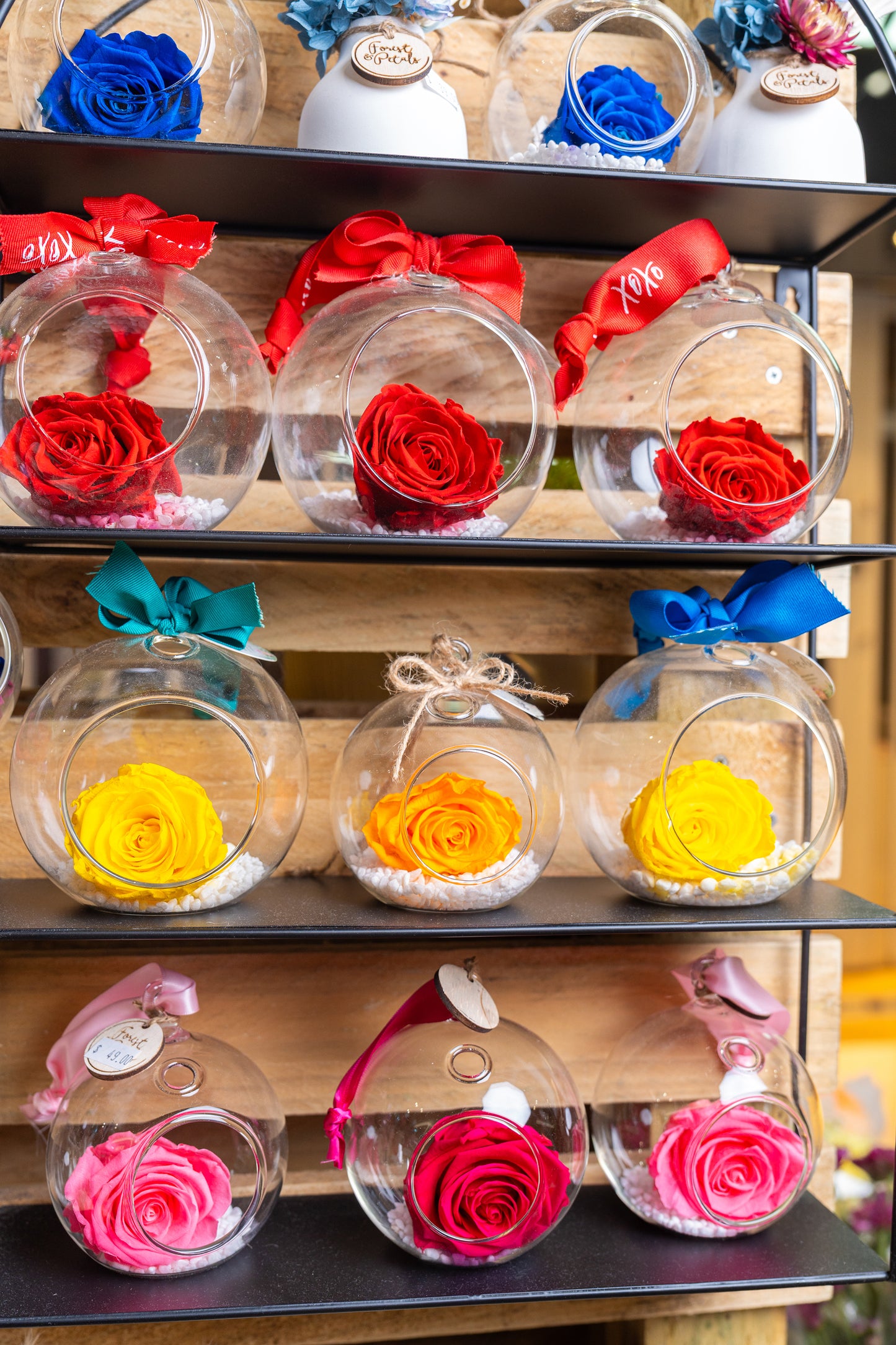 Preserved Rose