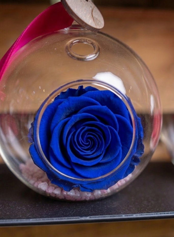 Preserved Rose