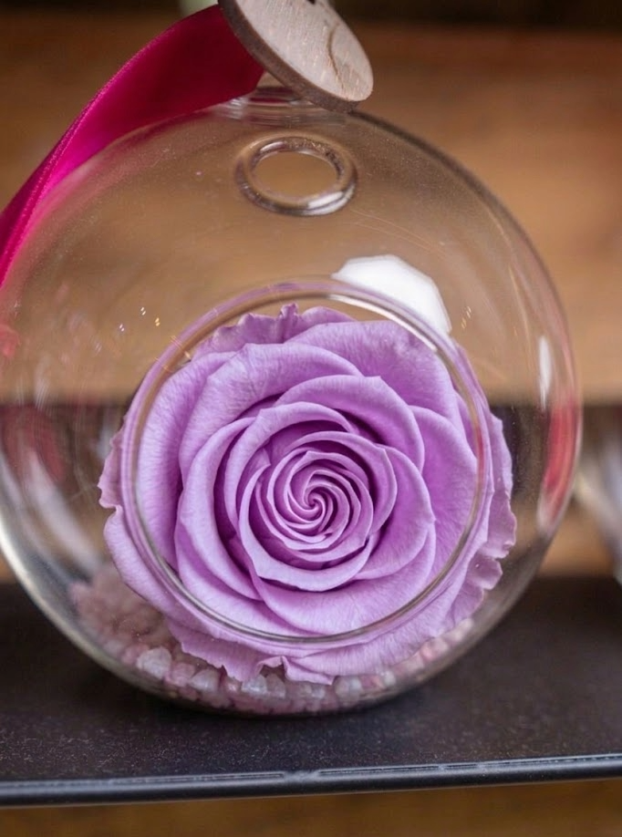 Preserved Rose