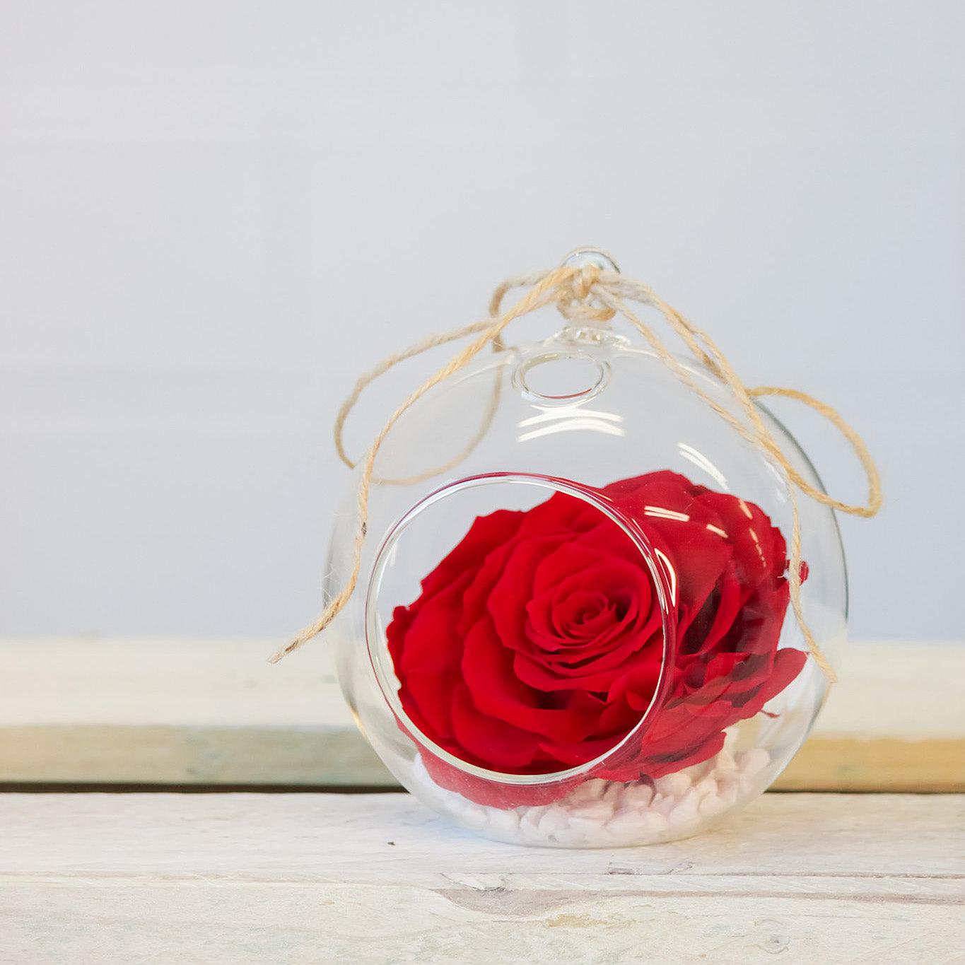 Preserved Rose - Forest and Petals