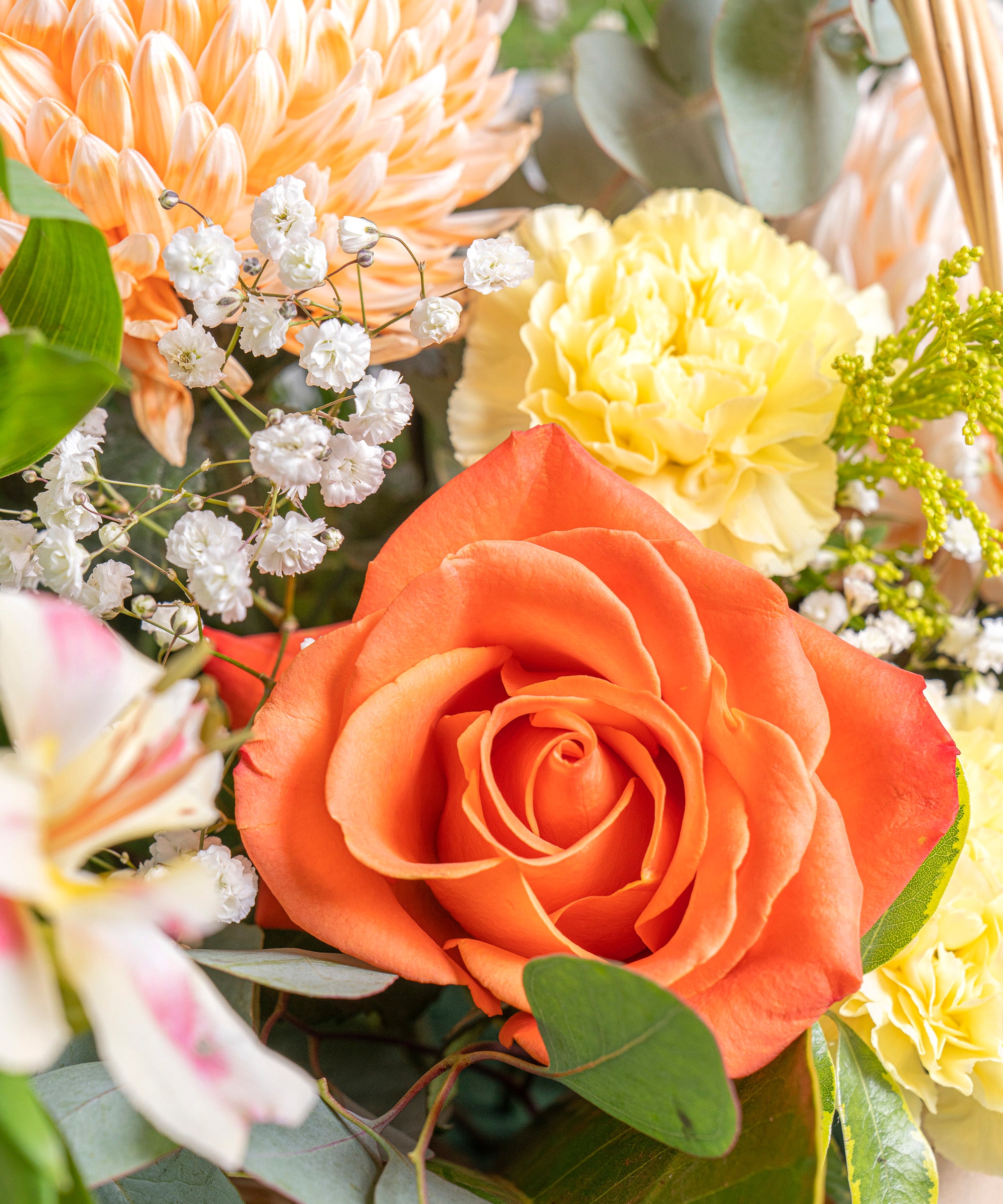 Blooming Love Basket Mother's day flowers Same day delivery South Brisbane Florist