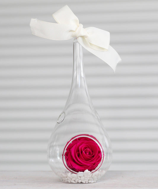 Preserved-Roses-Small-Bright-Pink