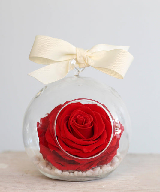 Preserved Roses Collection – Forest and Petals