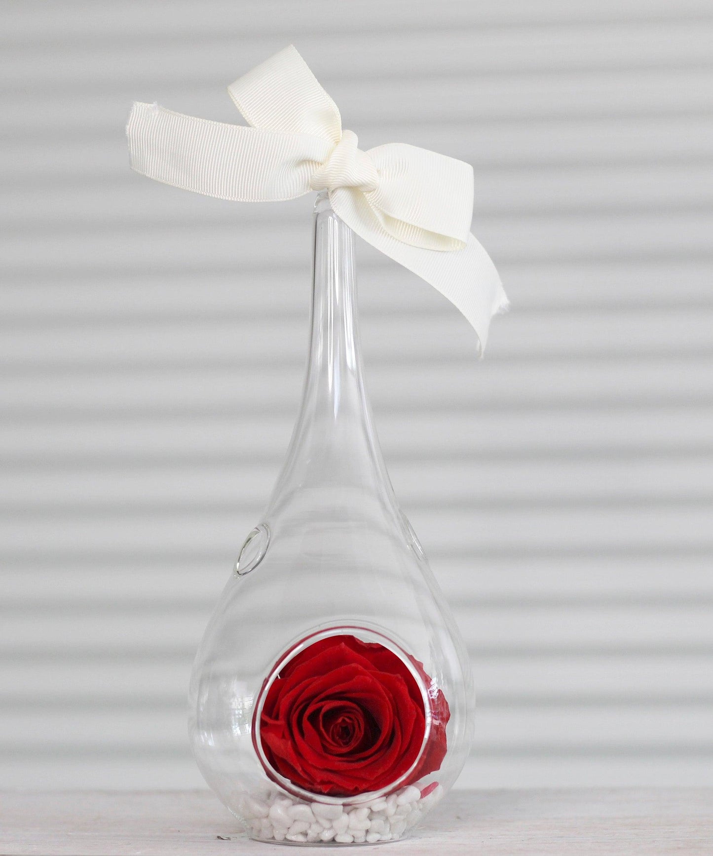 Preserved-Roses-Small-Red