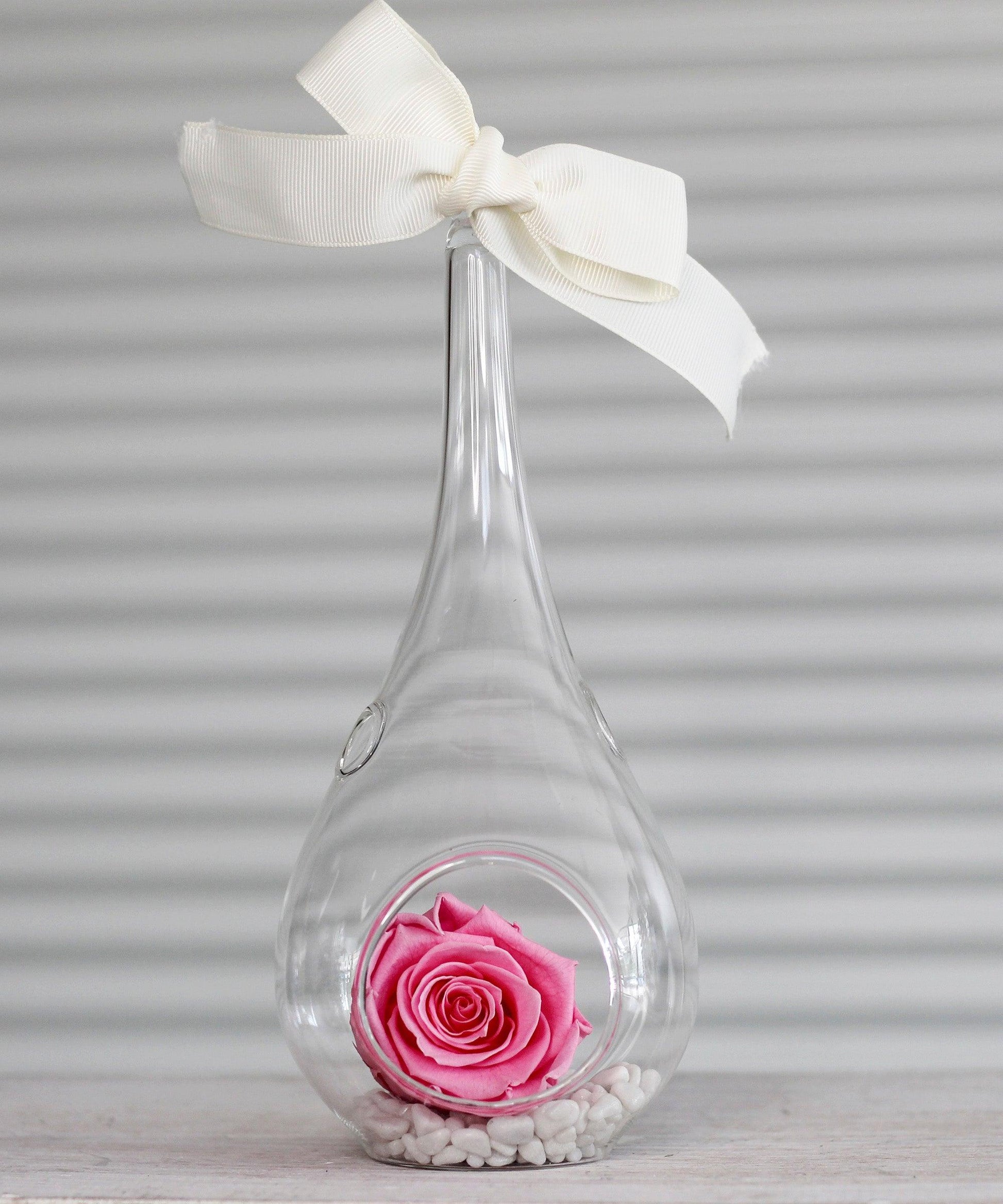 Preserved-Roses-Small-Light-Pink