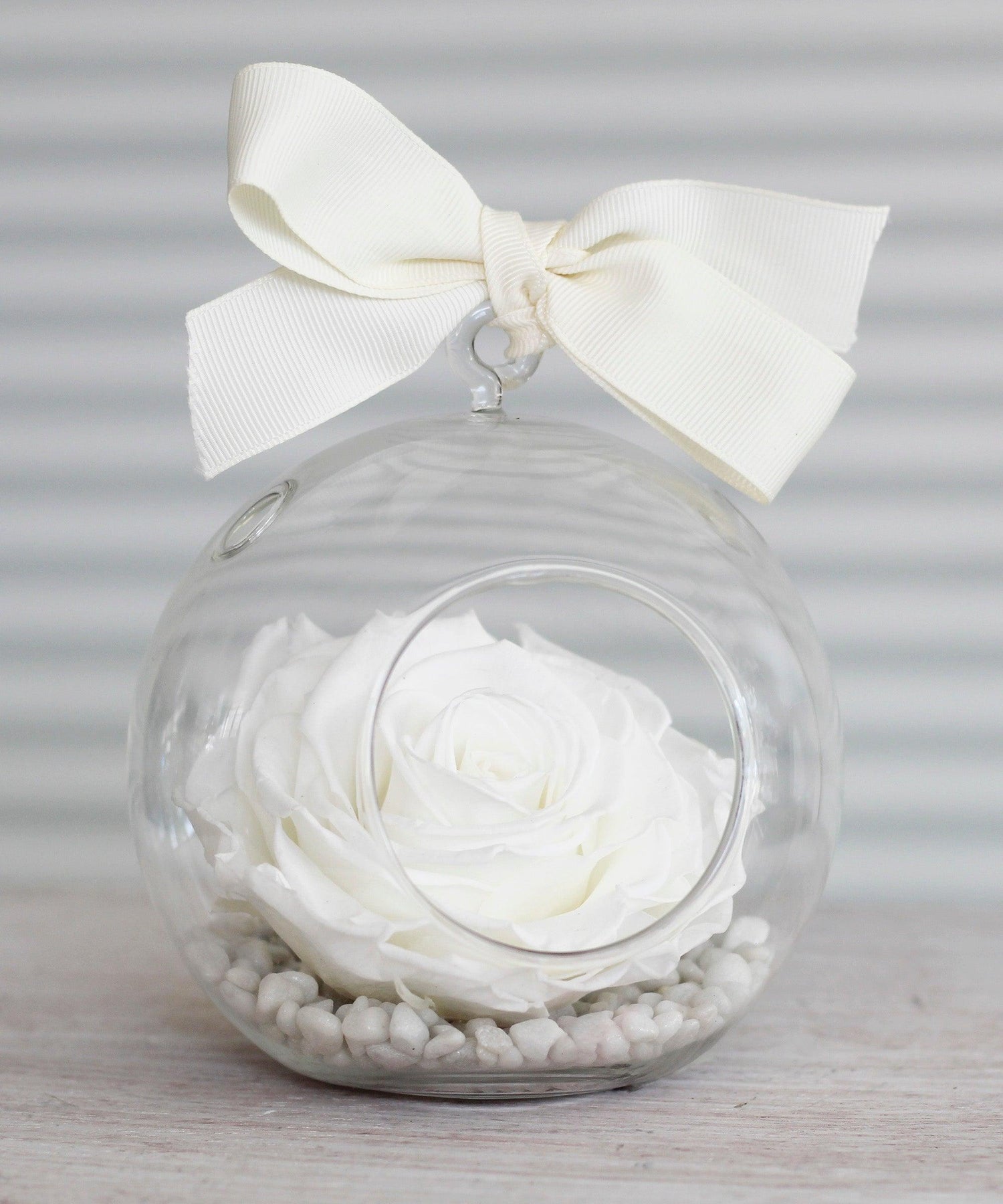 Preserved-Roses-Large-White